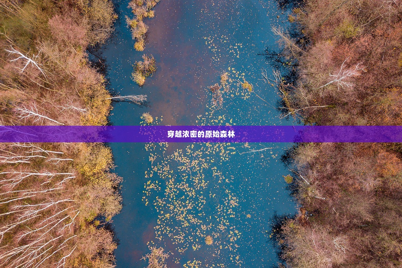 穿越浓密的原始森林