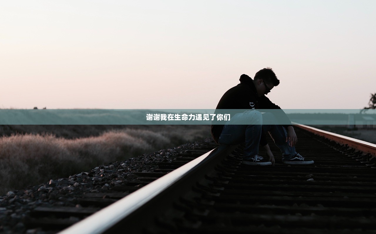 谢谢我在生命力遇见了你们