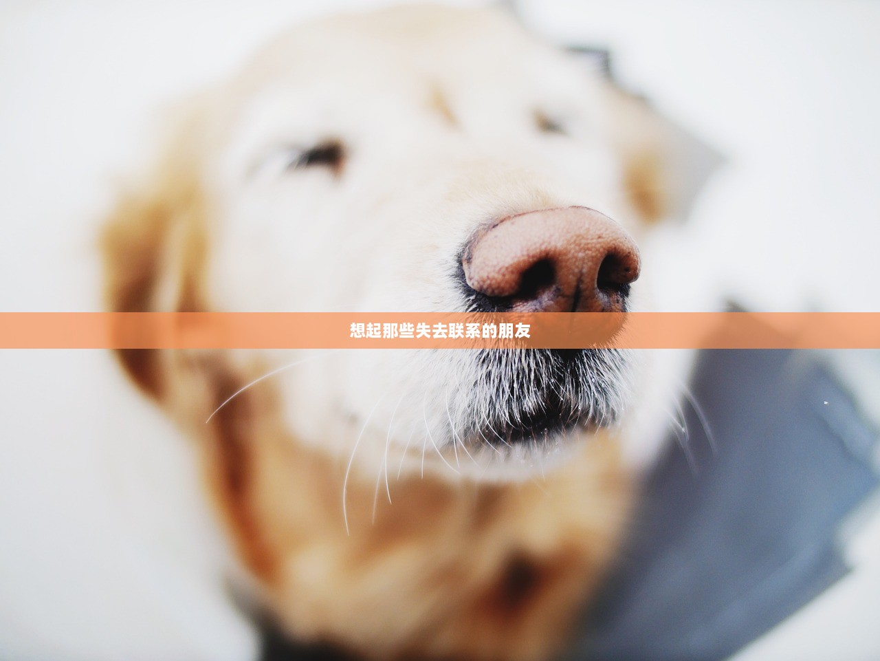 想起那些失去联系的朋友