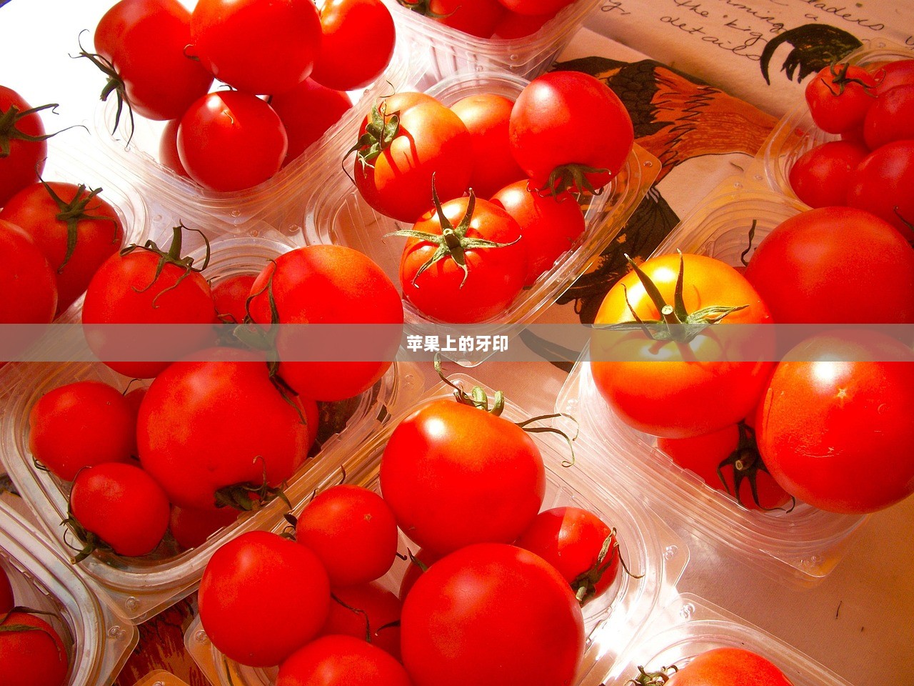 苹果上的牙印