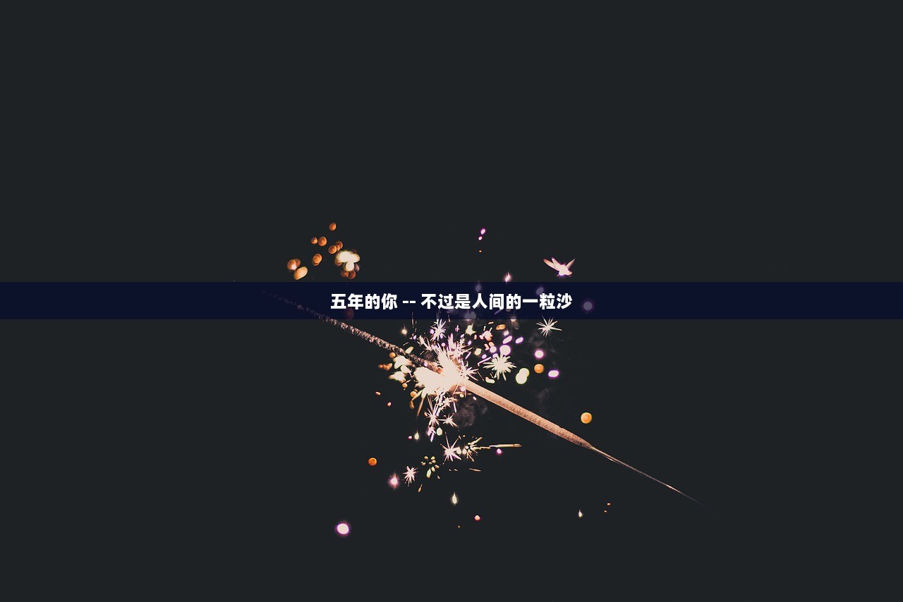 五年的你 -- 不过是人间的一粒沙