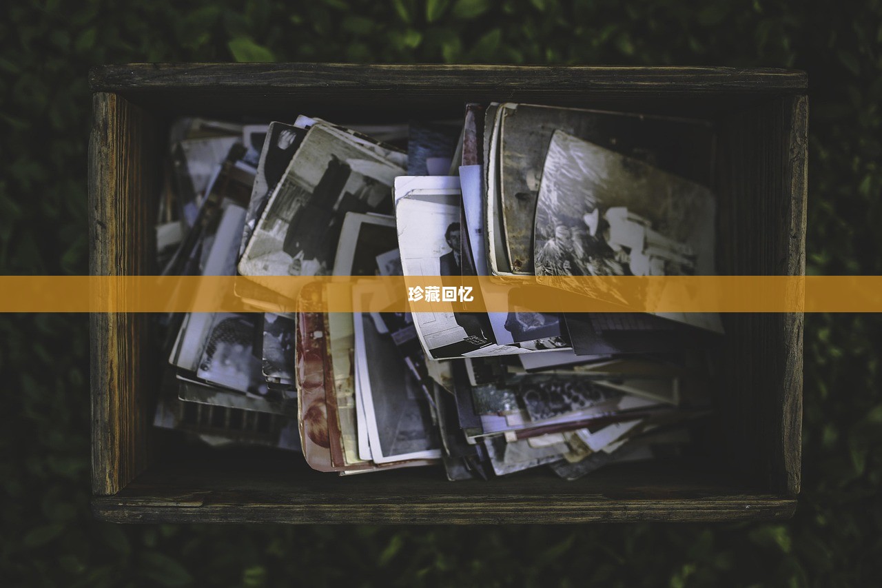 珍藏回忆