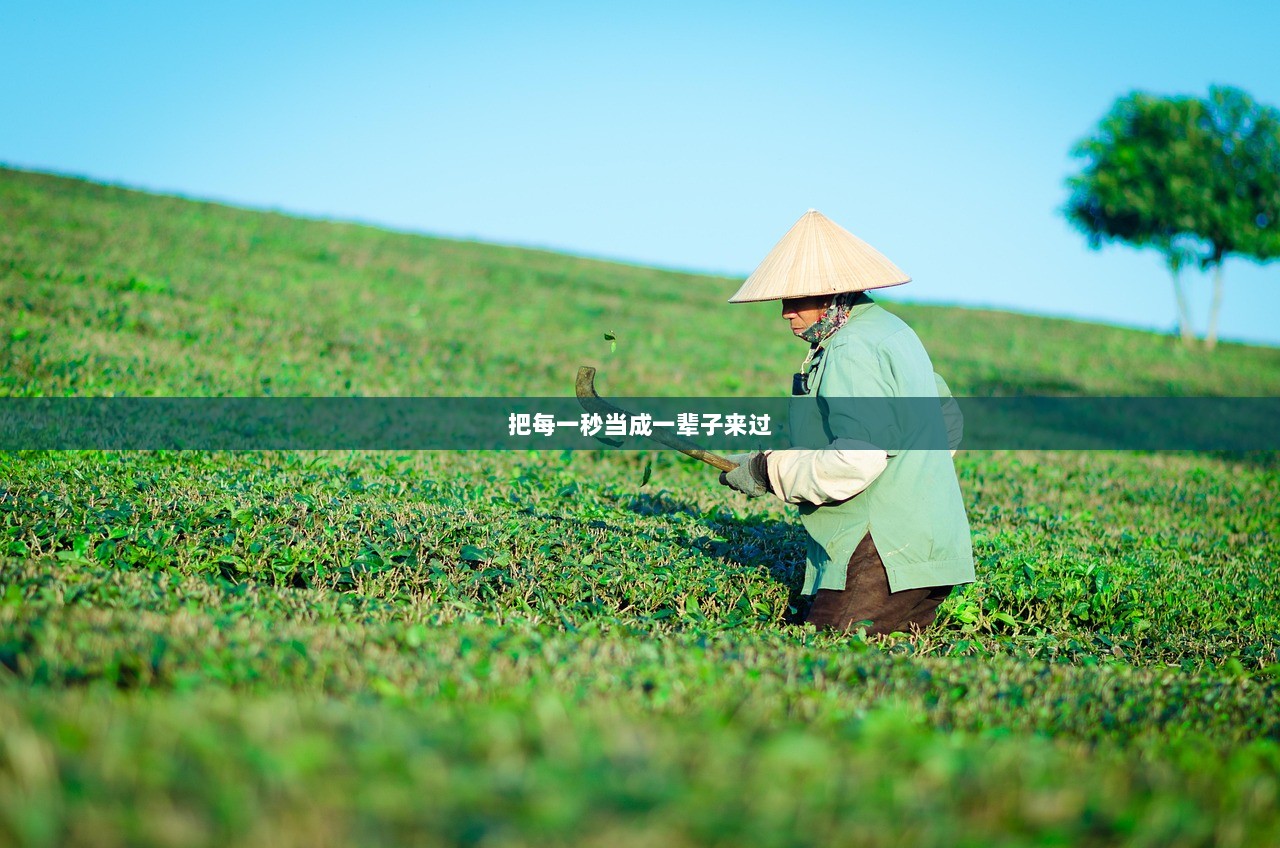 把每一秒当成一辈子来过