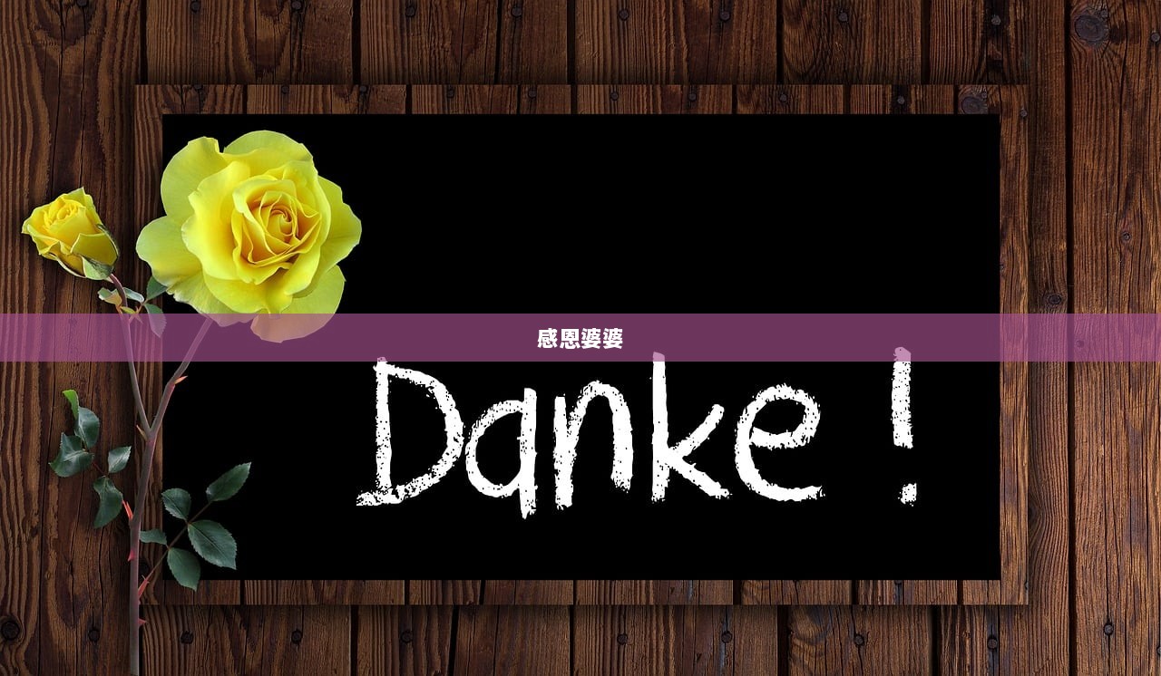 感恩婆婆  第1张