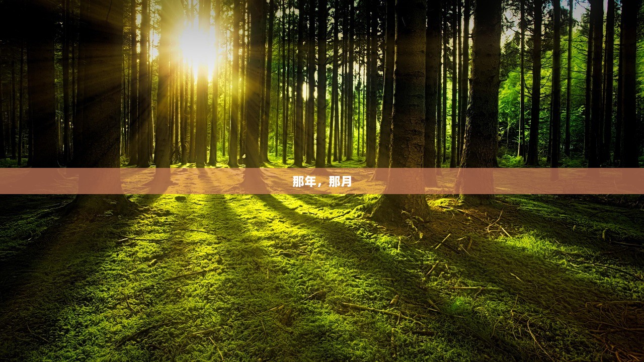 那年，那月