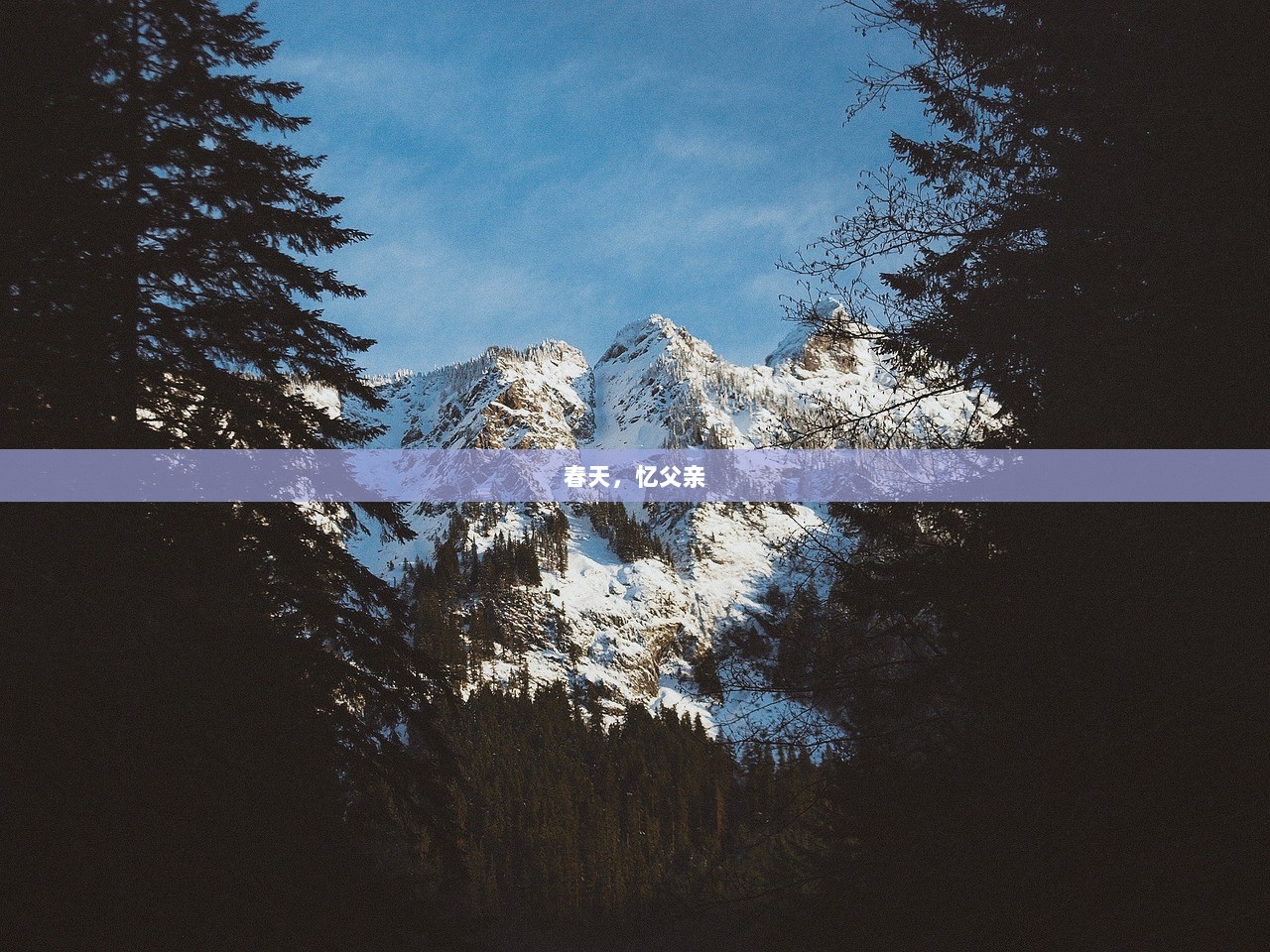 春天，忆父亲