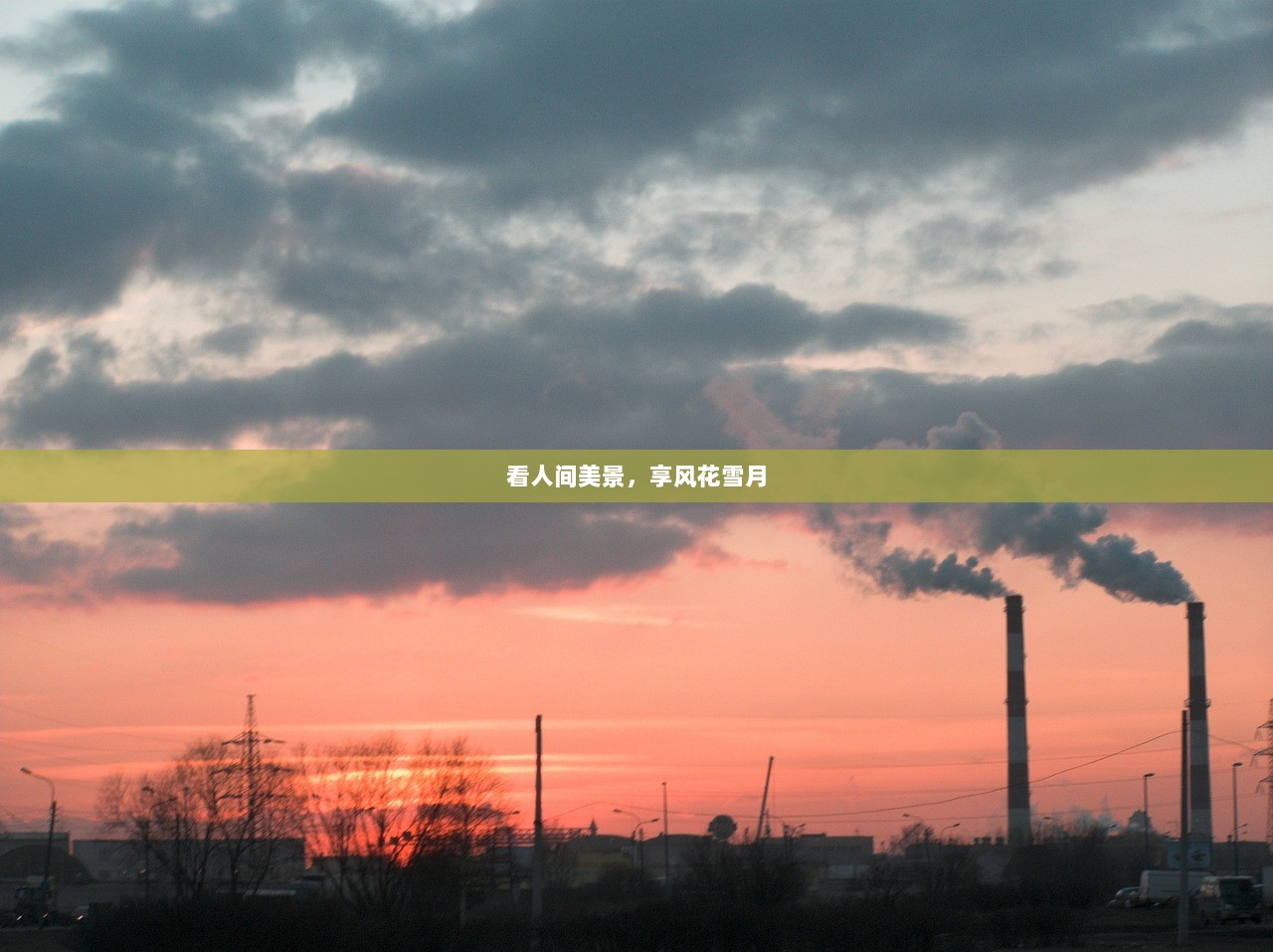 看人间美景，享风花雪月