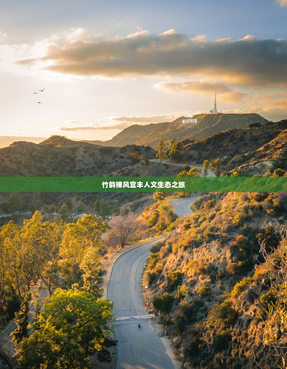 竹韵禅风宜丰人文生态之旅
