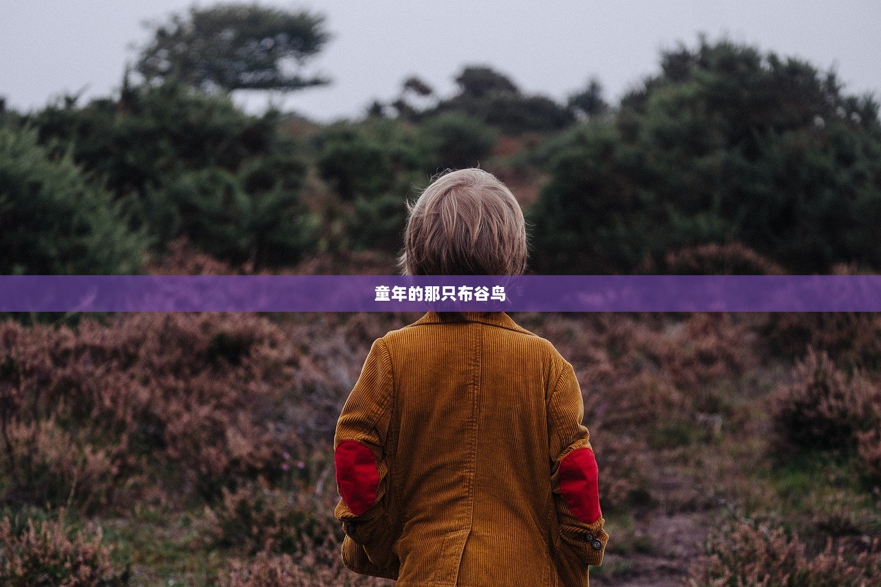童年的那只布谷鸟