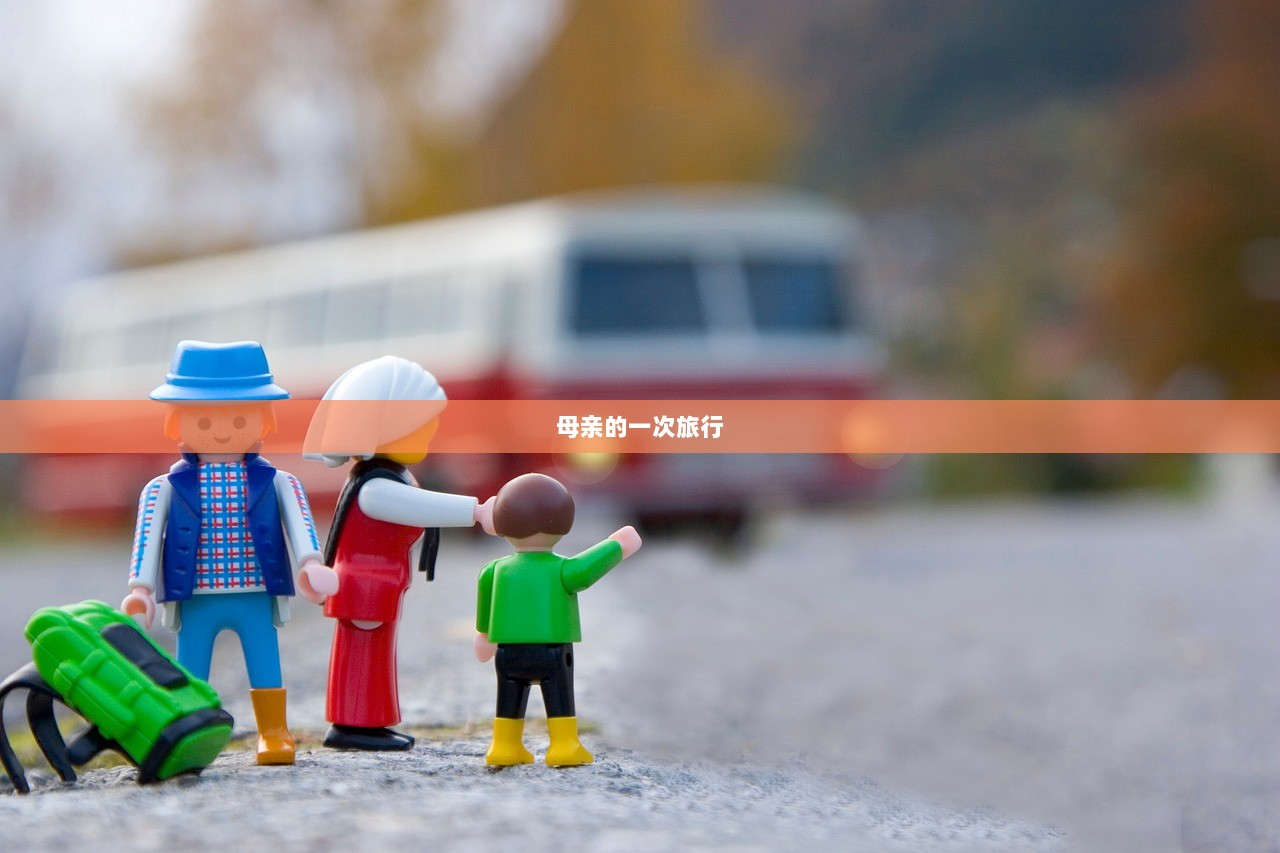 母亲的一次旅行  第1张