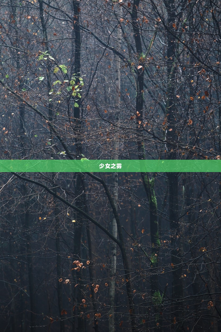少女之雾