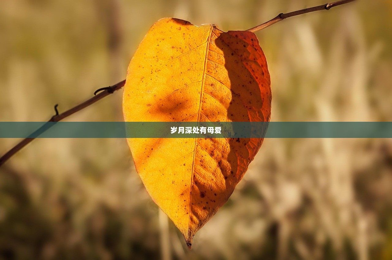 岁月深处有母爱