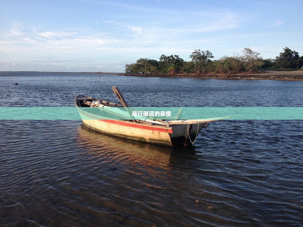 渐行渐远的亲情