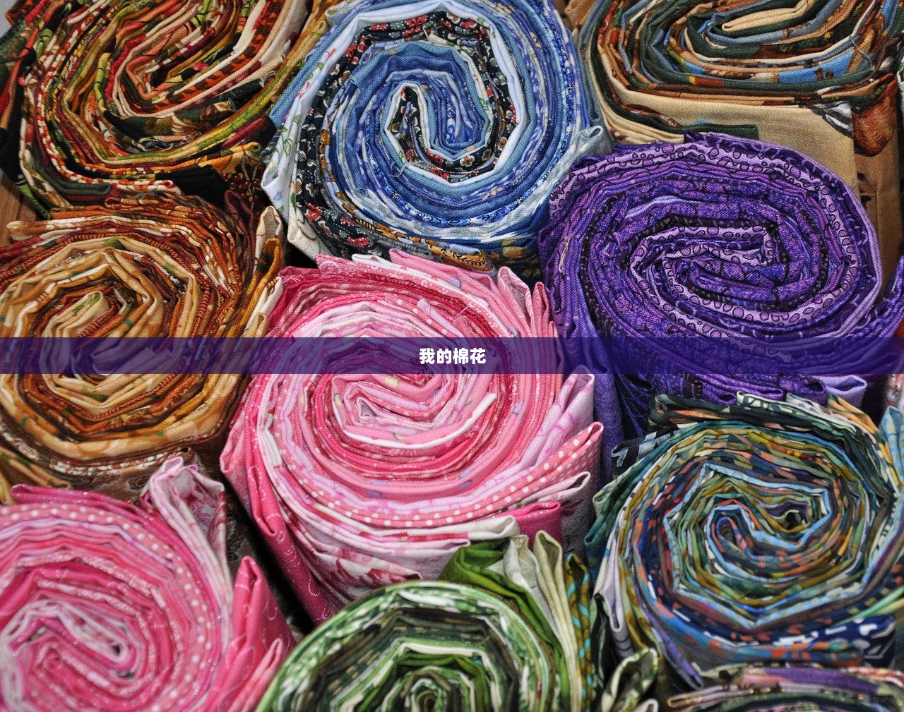 我的棉花