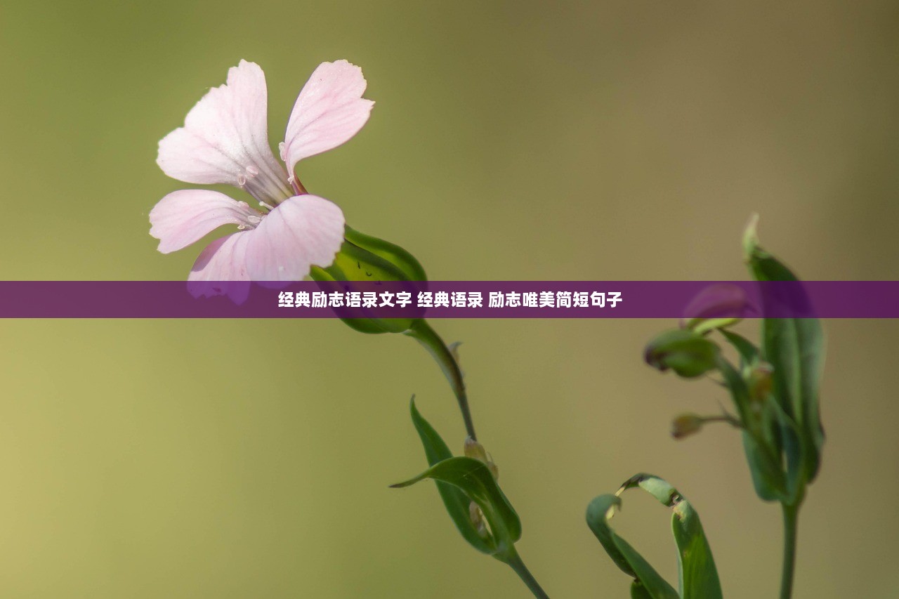 经典励志语录文字 经典语录 励志唯美简短句子