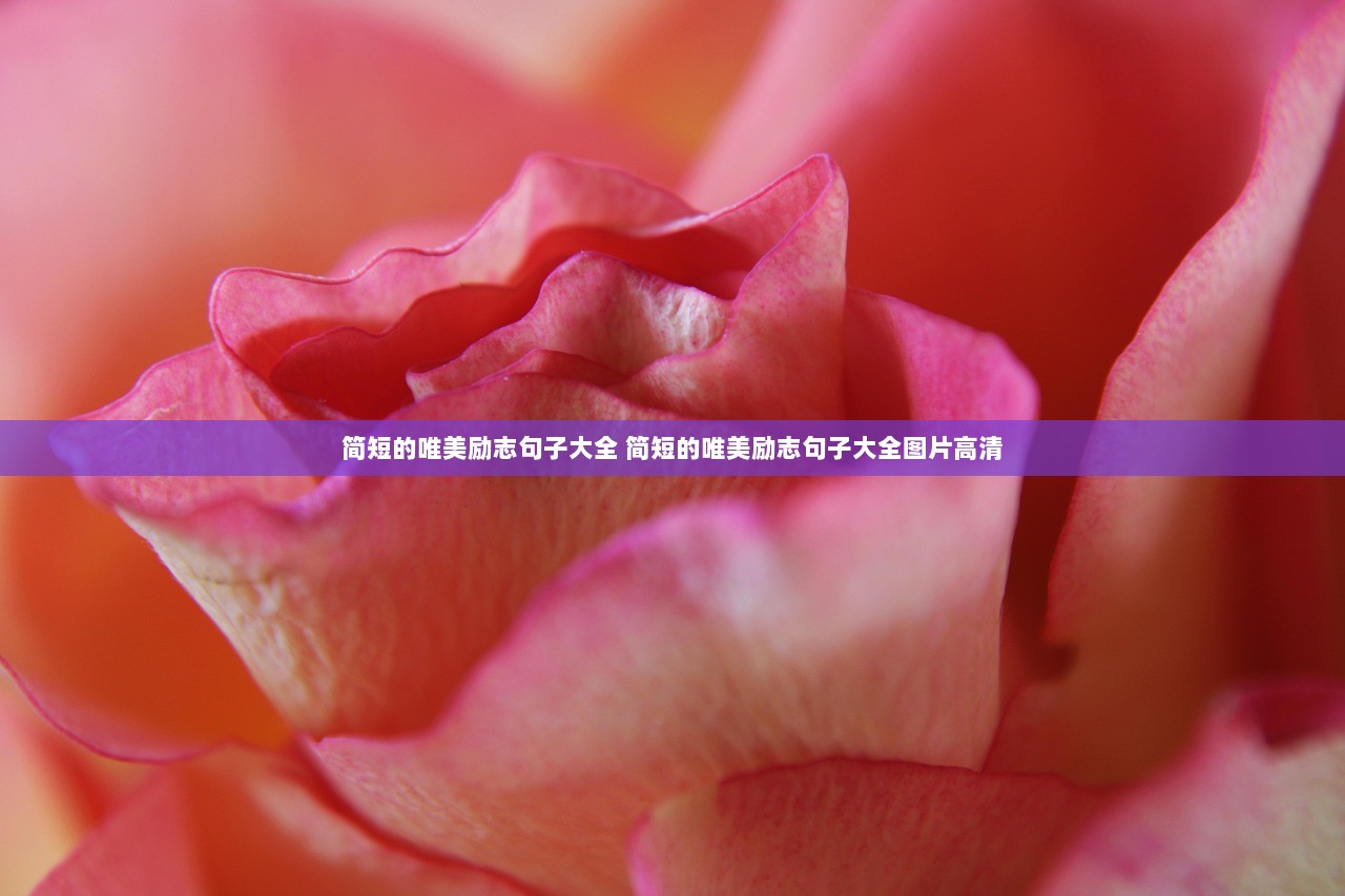 简短的唯美励志句子大全 简短的唯美励志句子大全图片高清