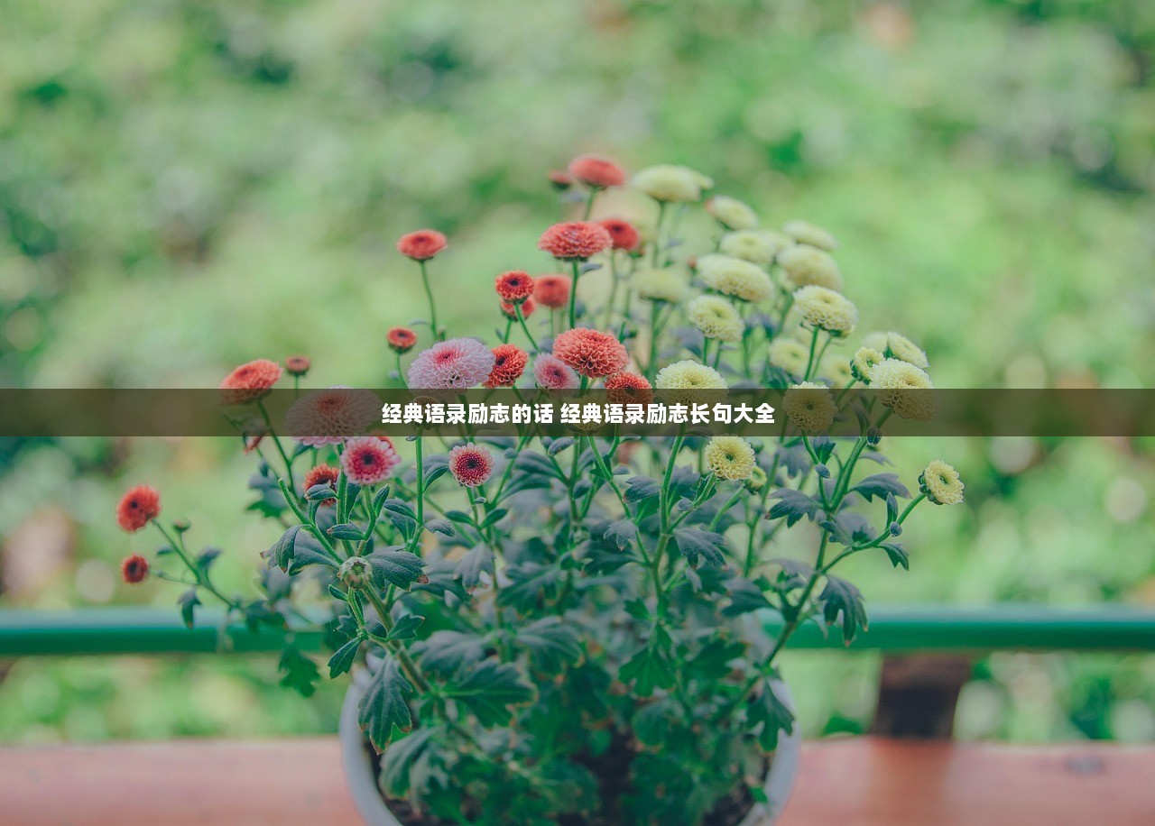 经典语录励志的话 经典语录励志长句大全
