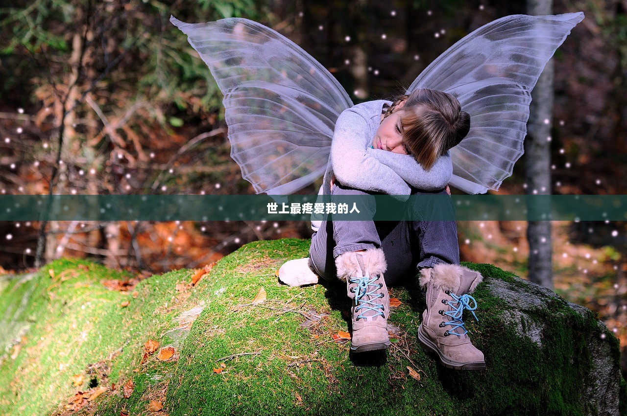 世上最疼爱我的人  第1张