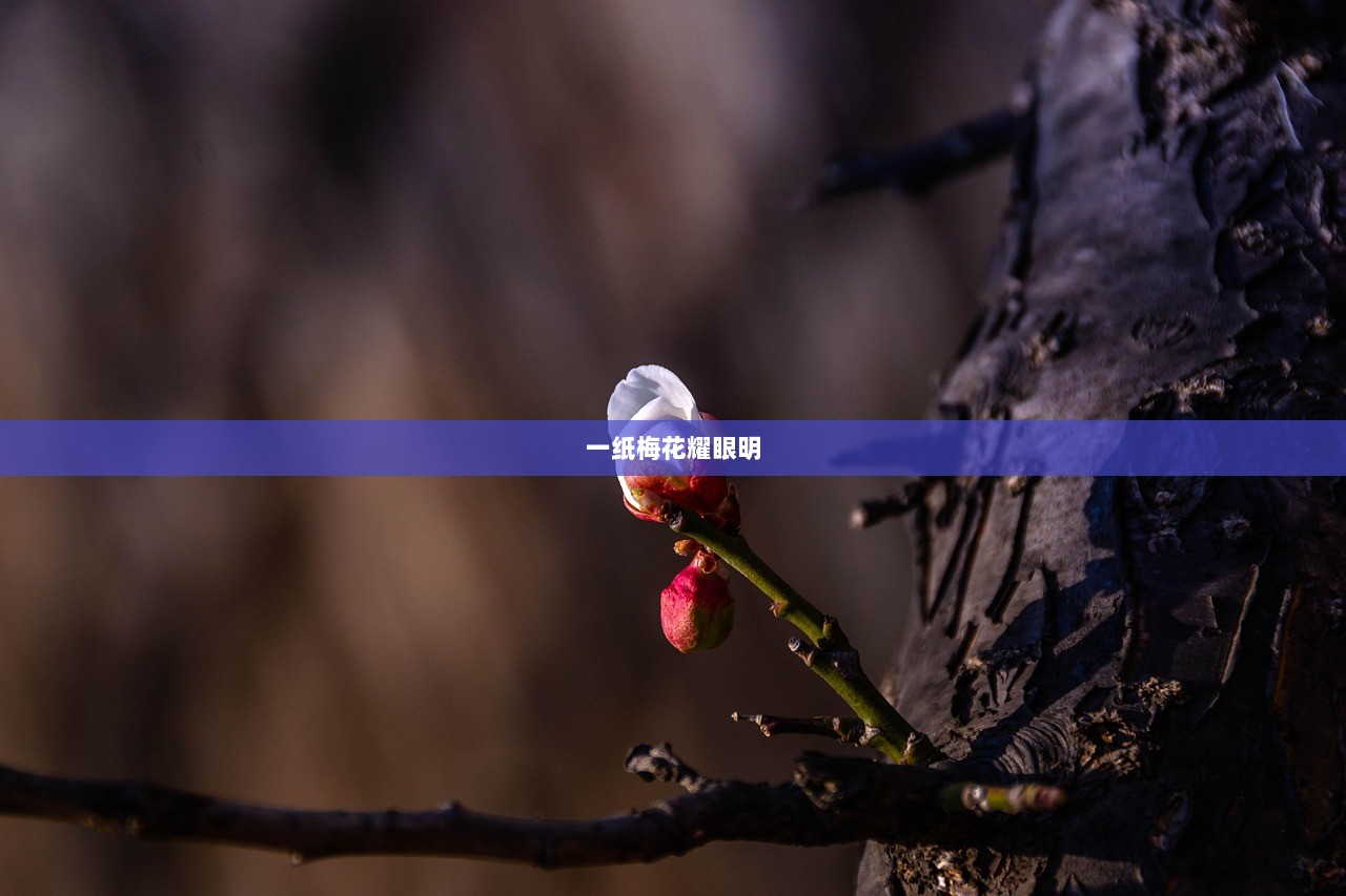 一纸梅花耀眼明