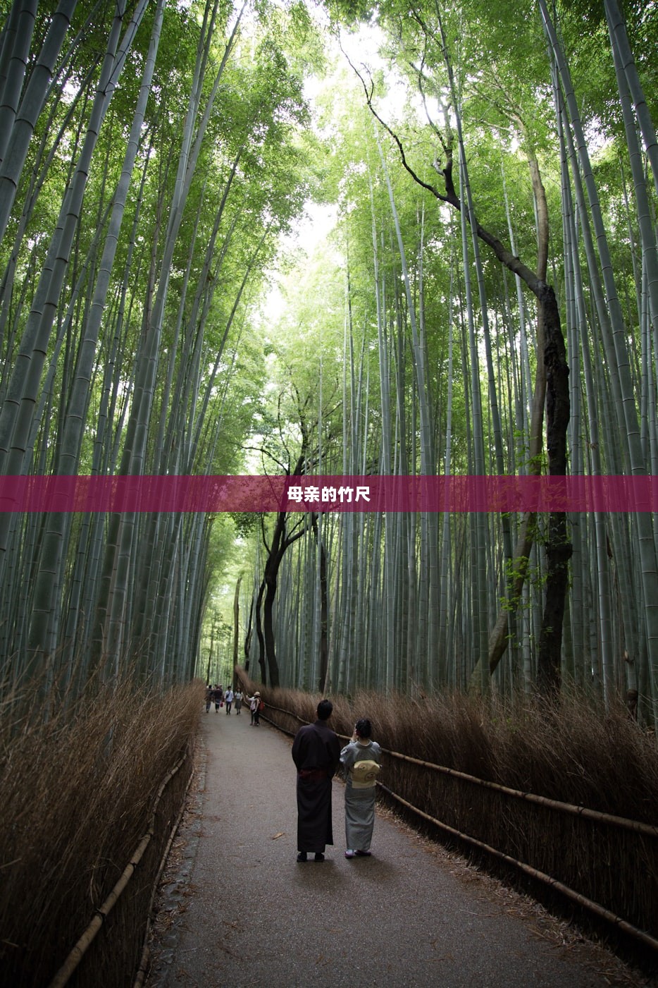 母亲的竹尺