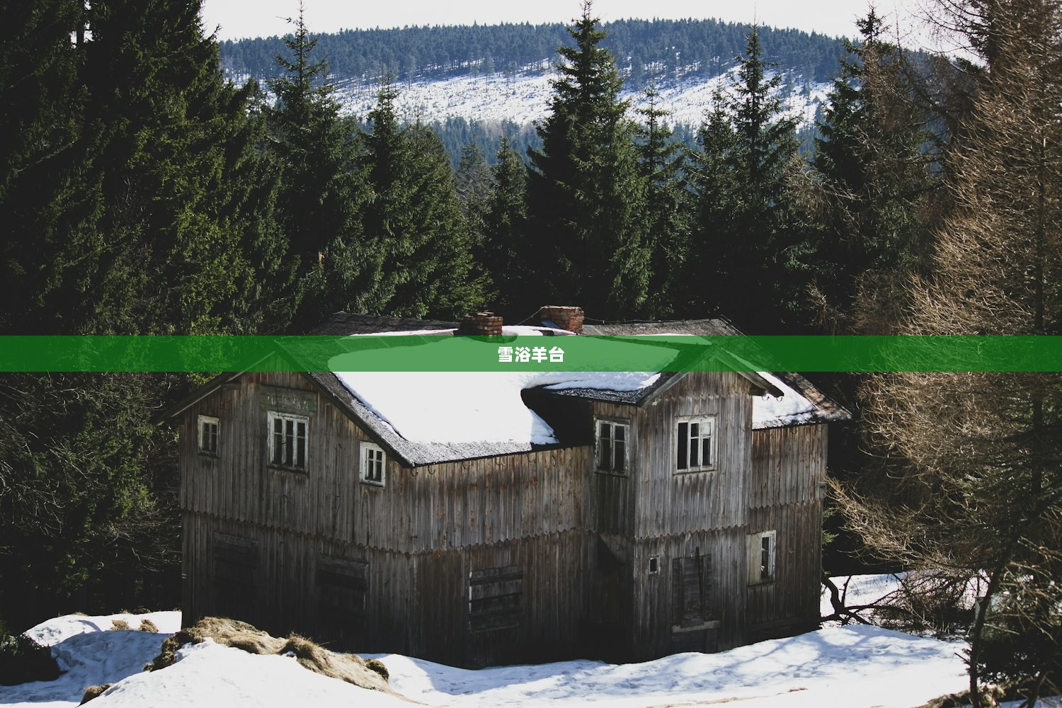 雪浴羊台