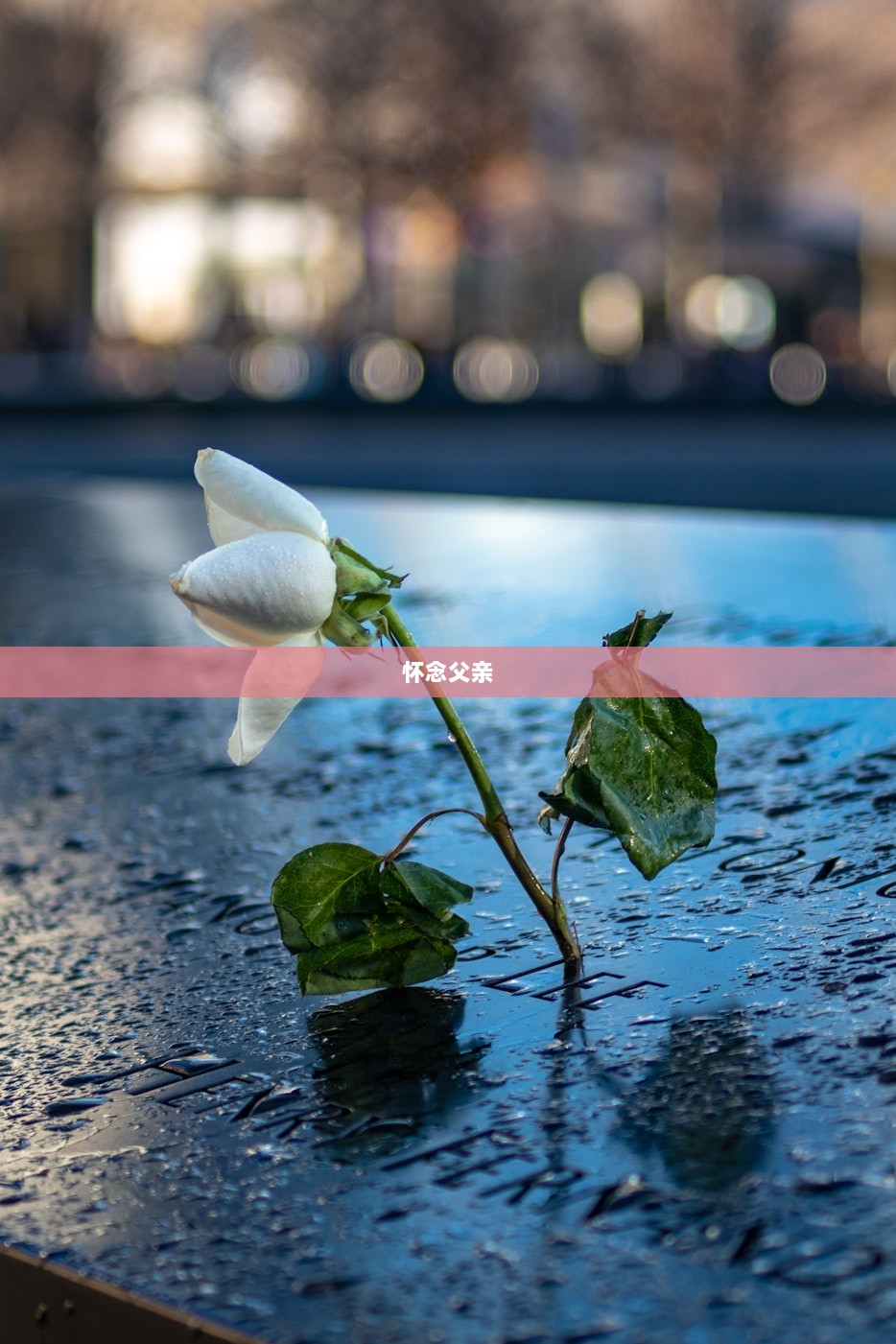 怀念父亲