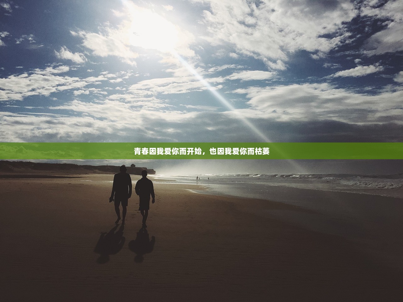 青春因我爱你而开始，也因我爱你而枯萎