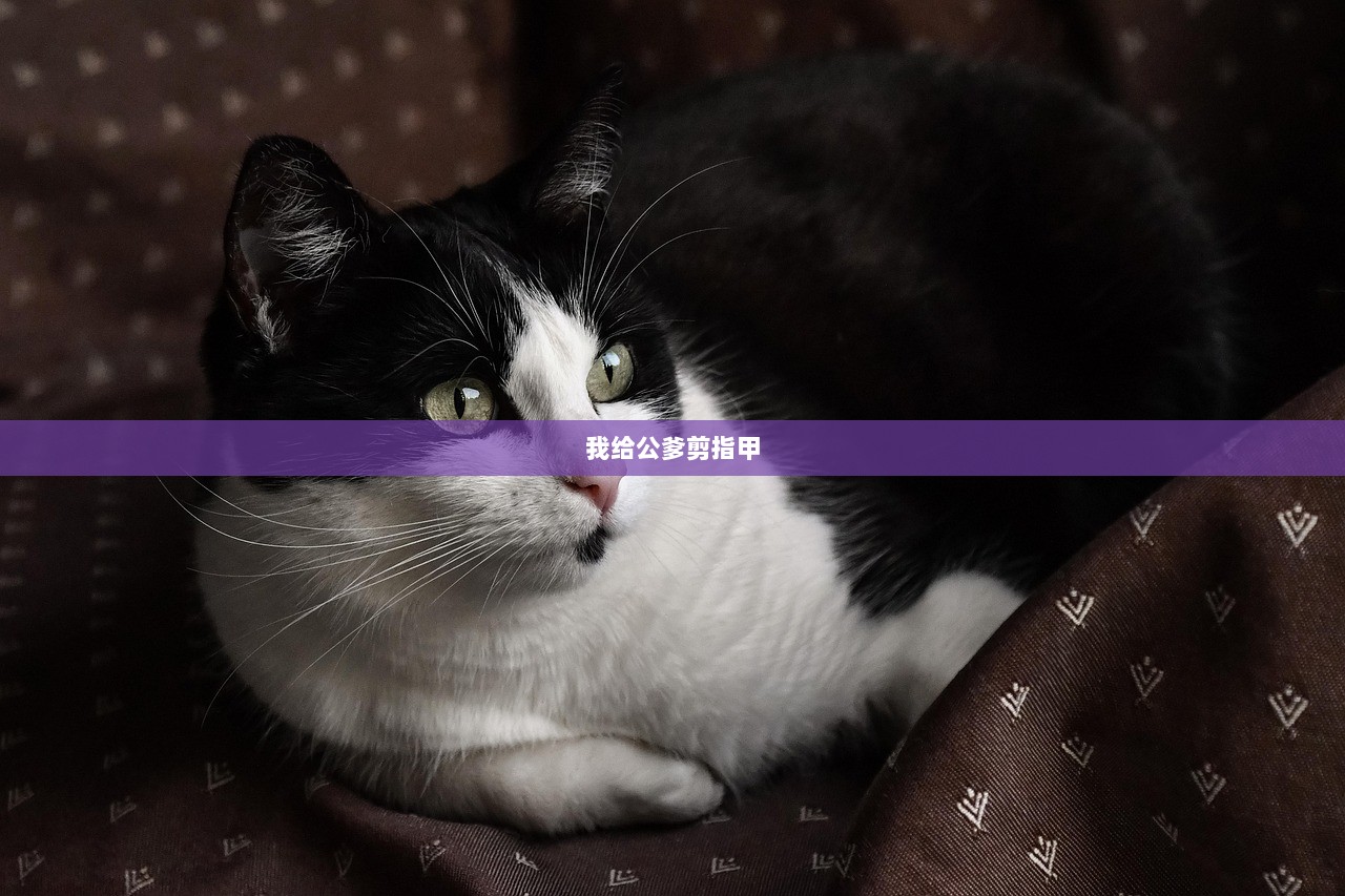 我给公爹剪指甲