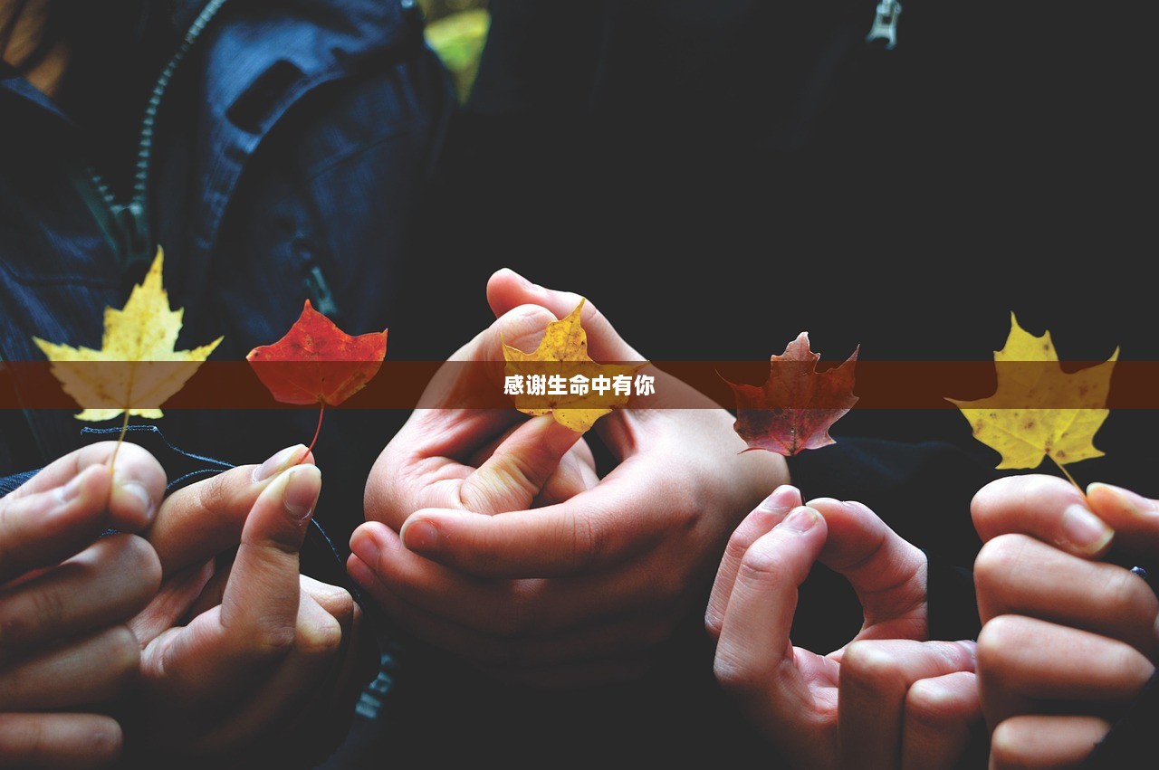 感谢生命中有你  第1张