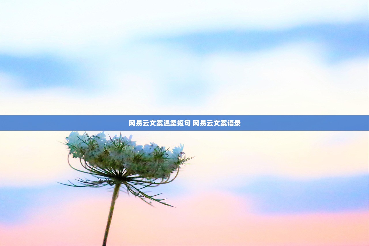 网易云文案温柔短句 网易云文案语录