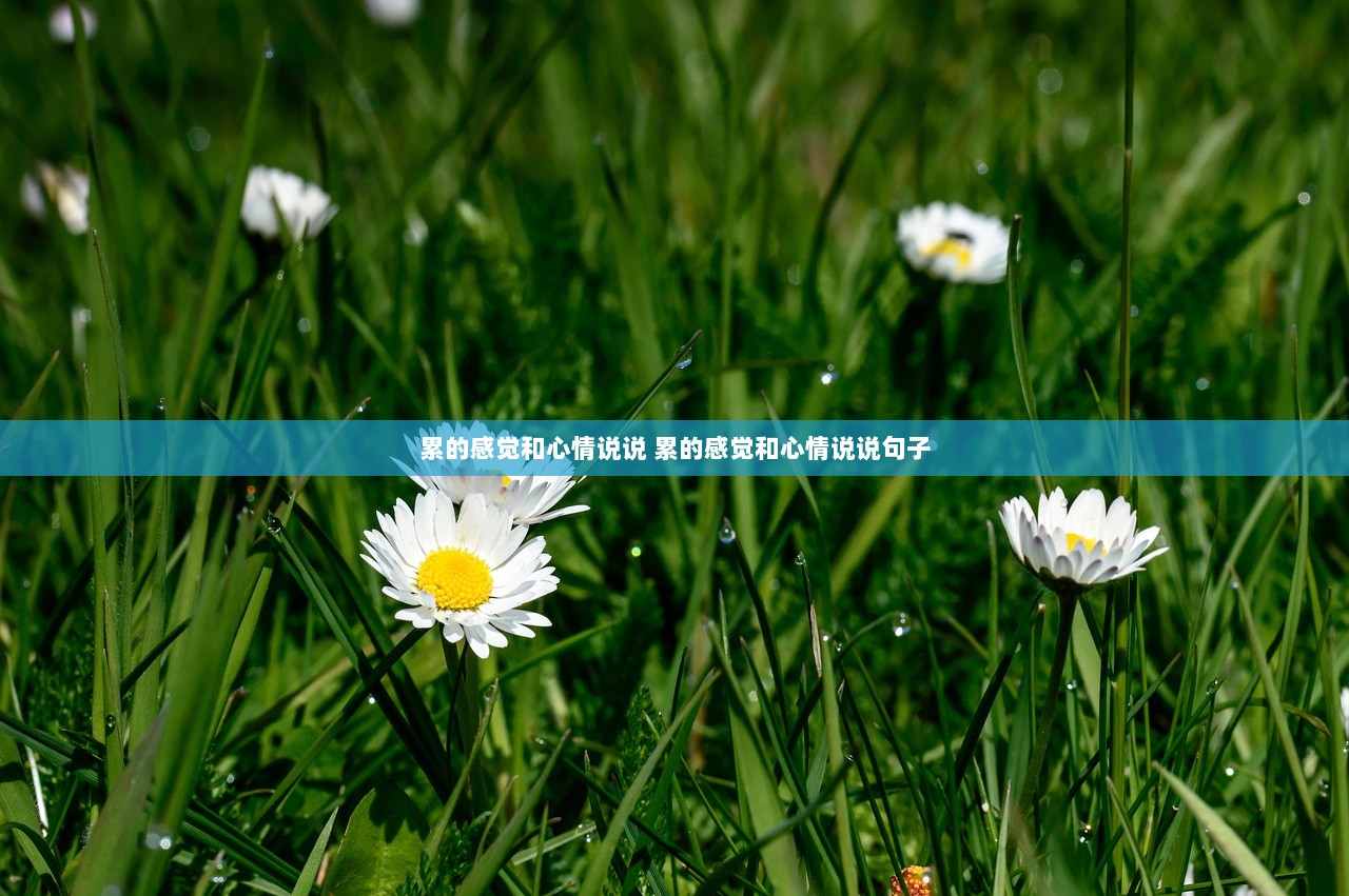 累的感觉和心情说说 累的感觉和心情说说句子