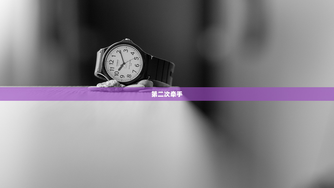 第二次牵手  第1张