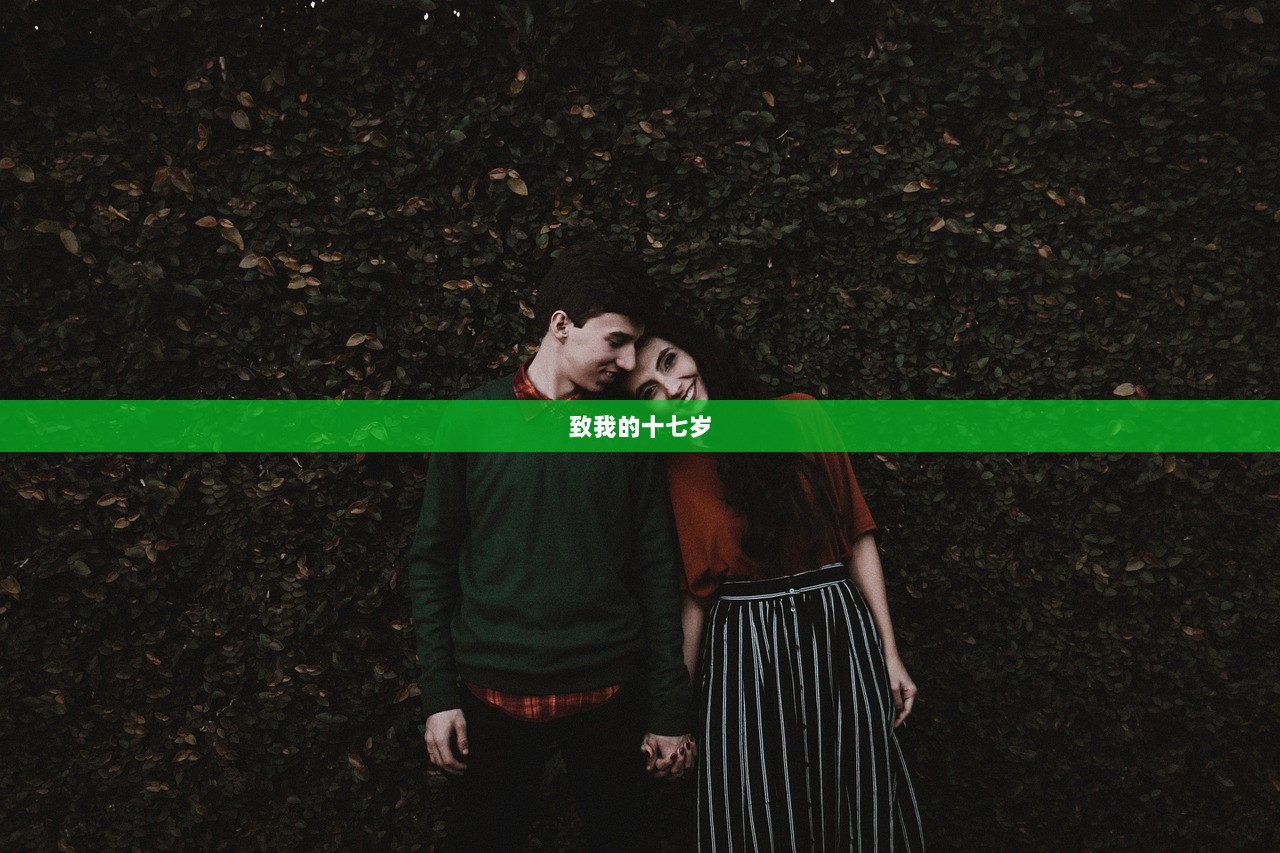 致我的十七岁