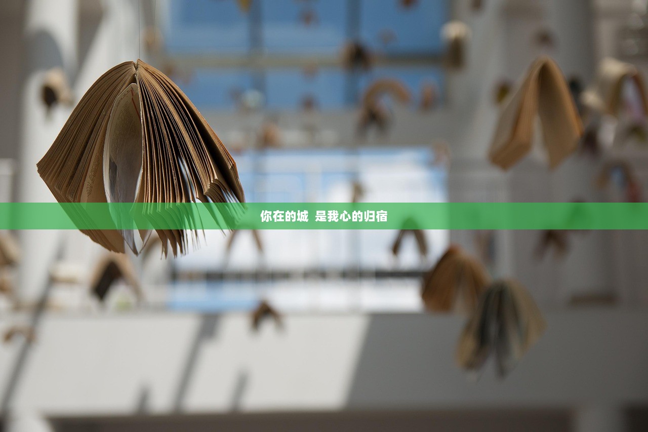 你在的城  是我心的归宿