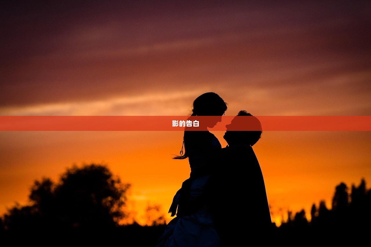 影的告白  第1张