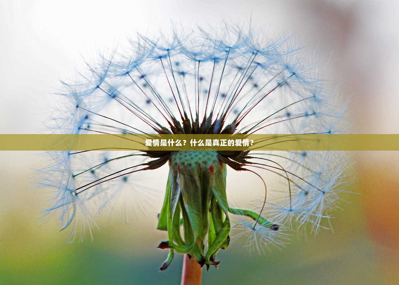 爱情是什么？什么是真正的爱情？