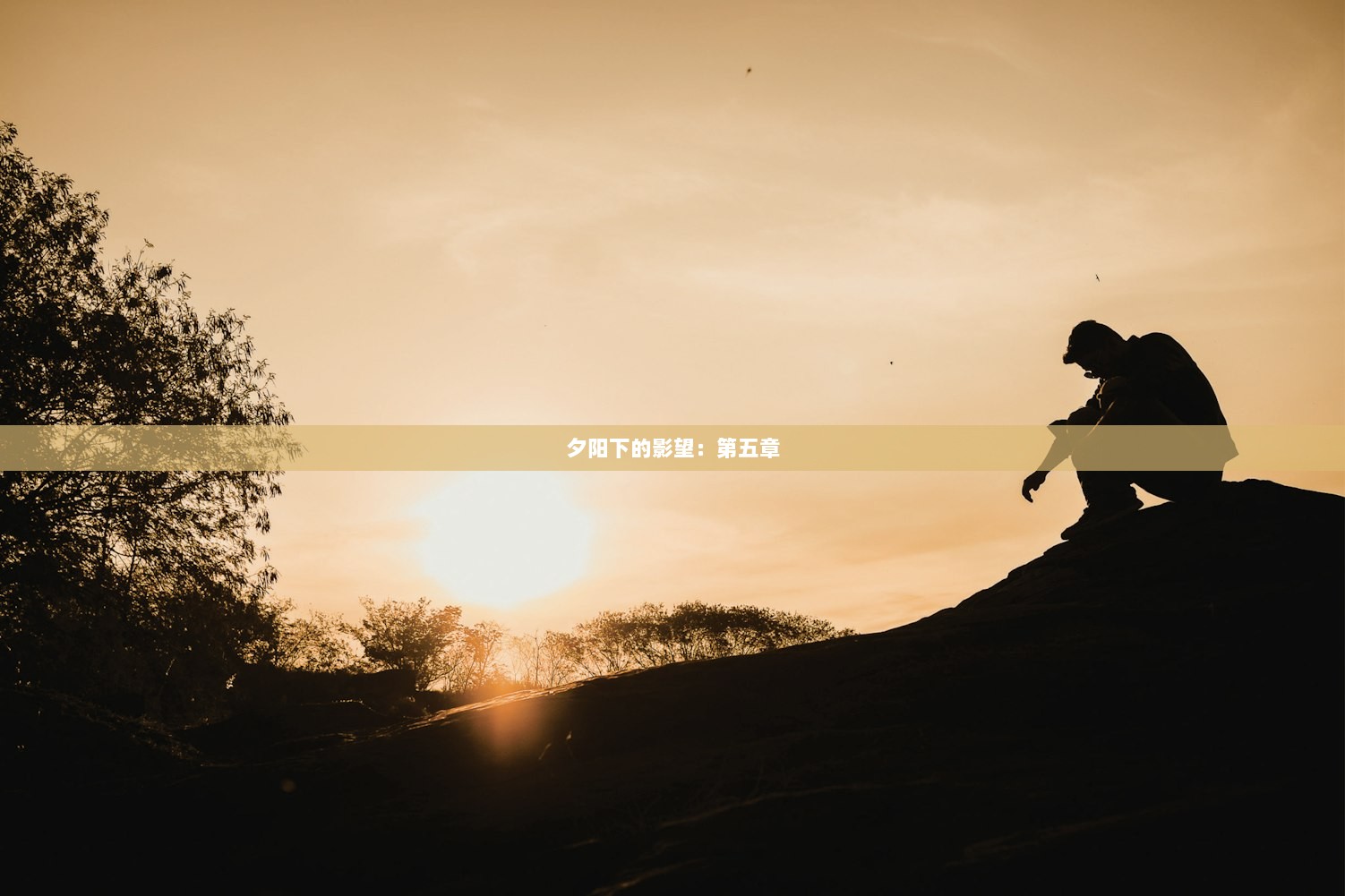 夕阳下的影望：第五章