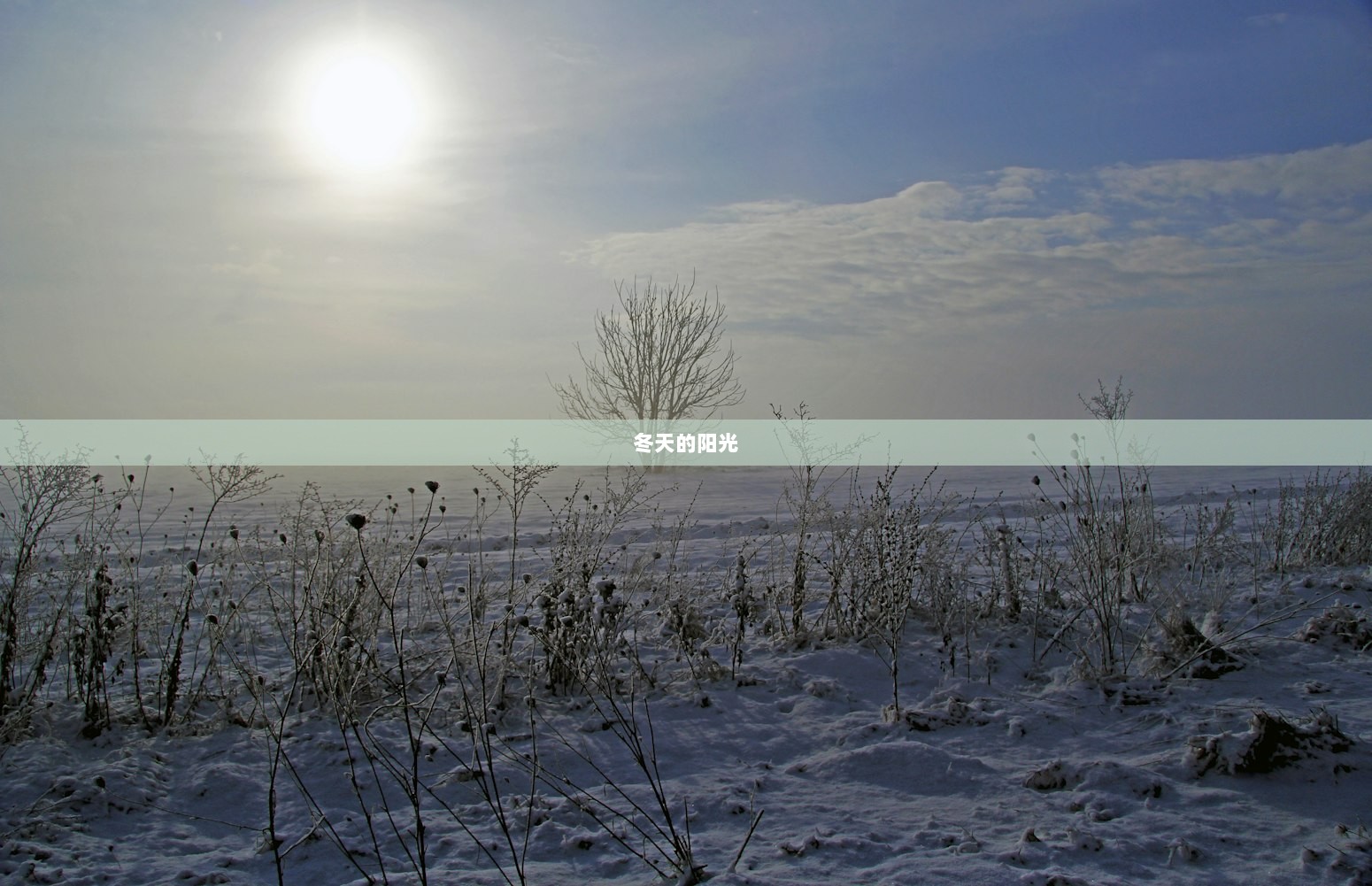 冬天的阳光