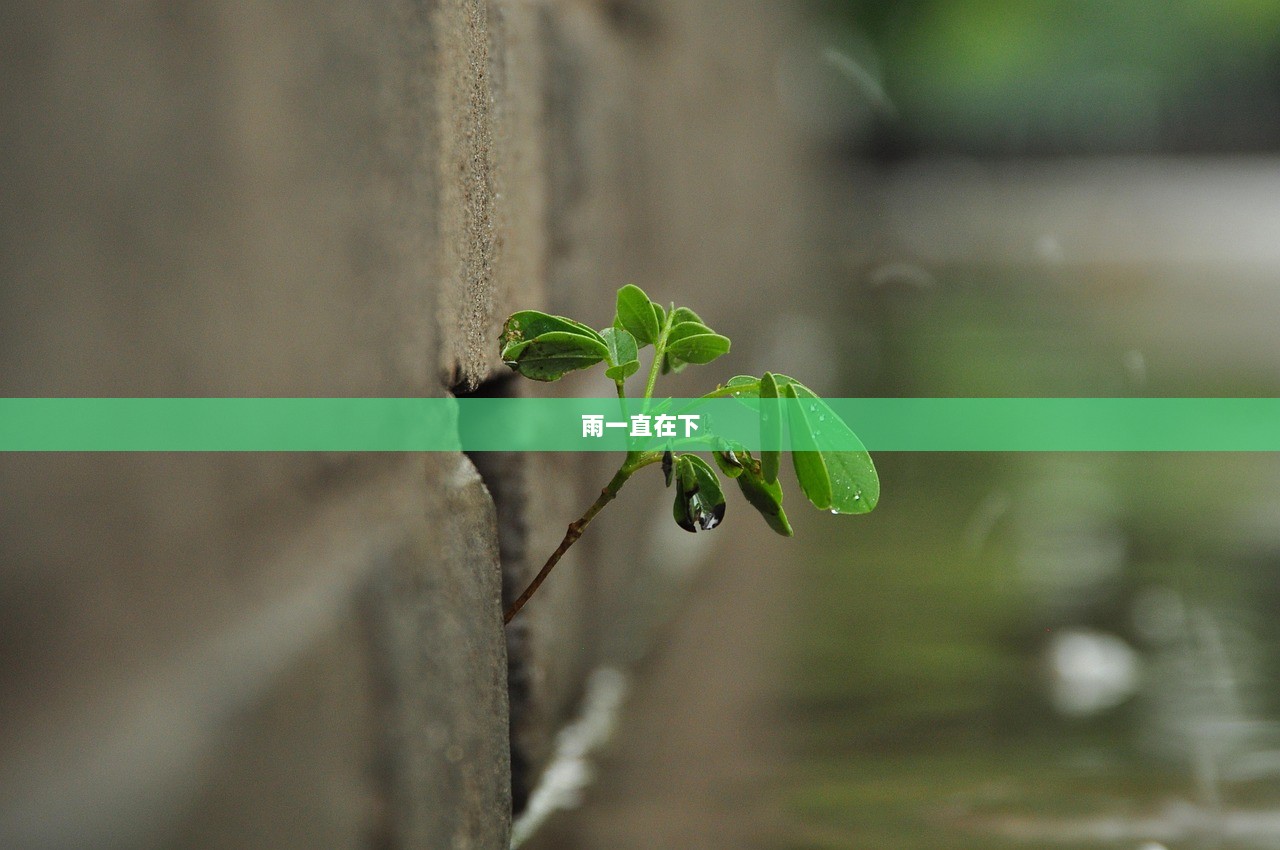 雨一直在下