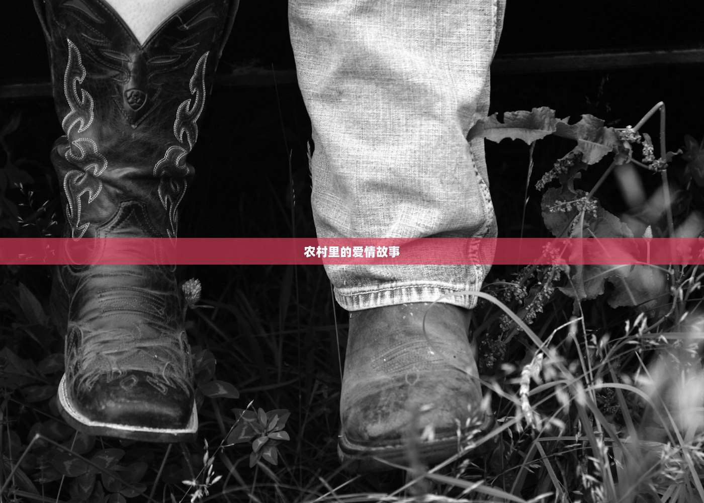 农村里的爱情故事