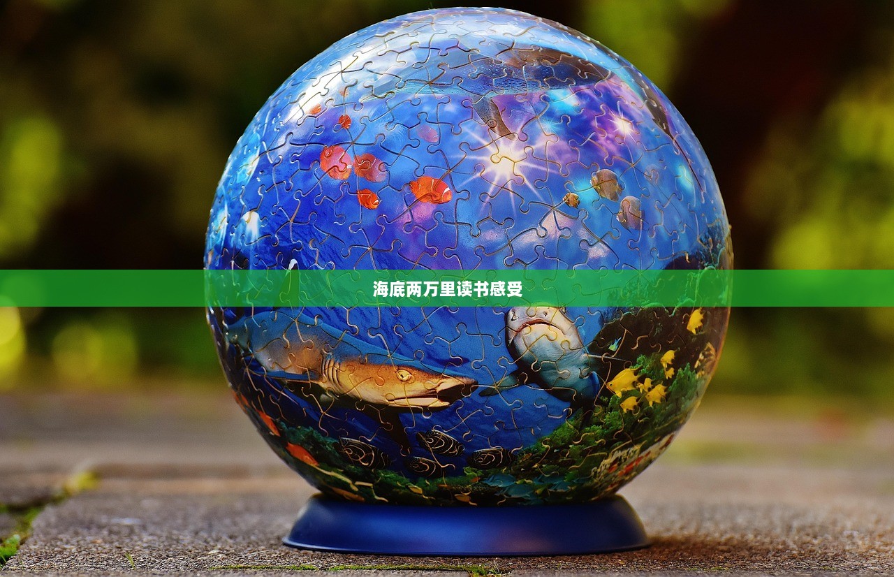 海底两万里读书感受  第1张