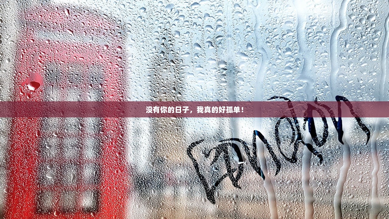 没有你的日子，我真的好孤单！