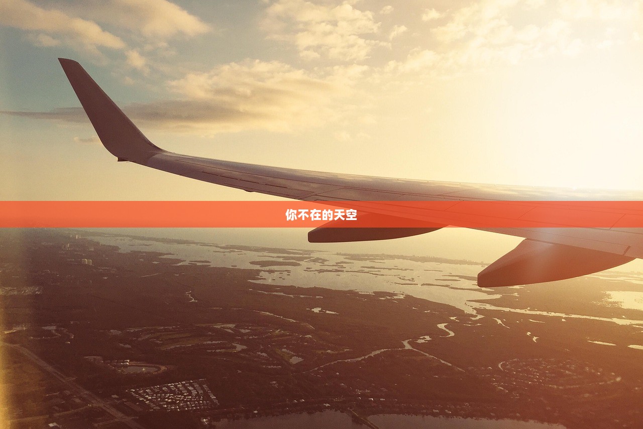 你不在的天空