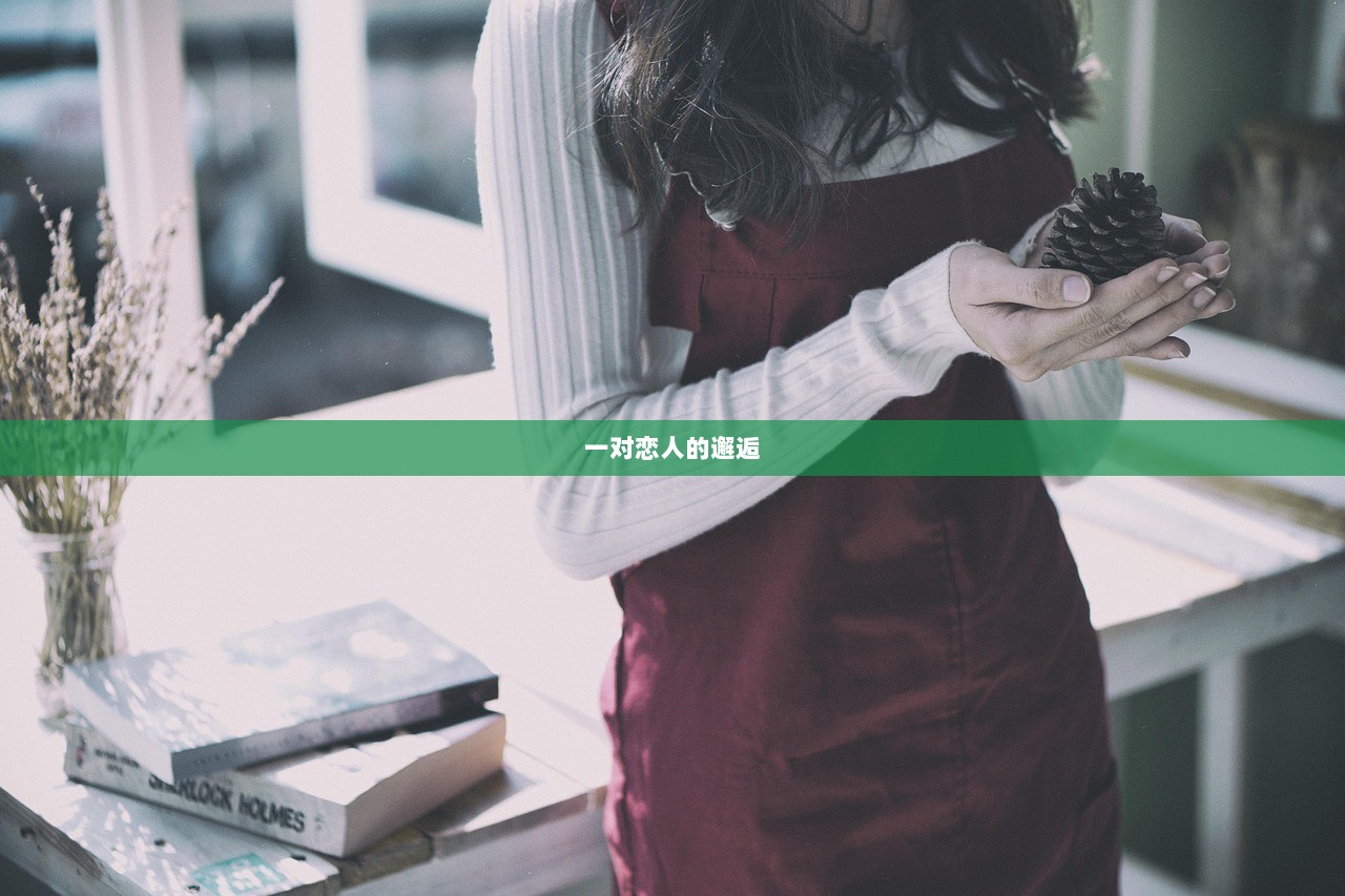 一对恋人的邂逅  第1张