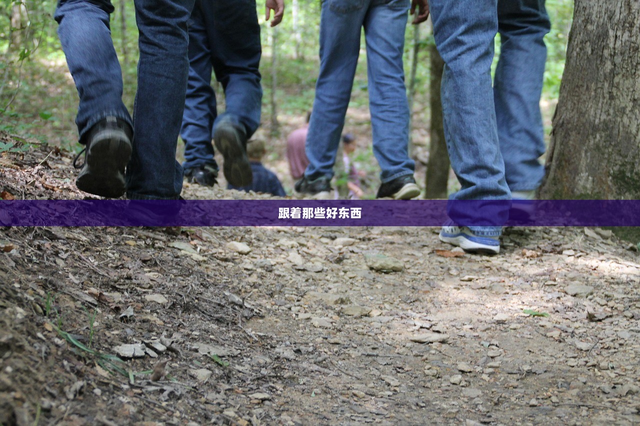 跟着那些好东西  第1张