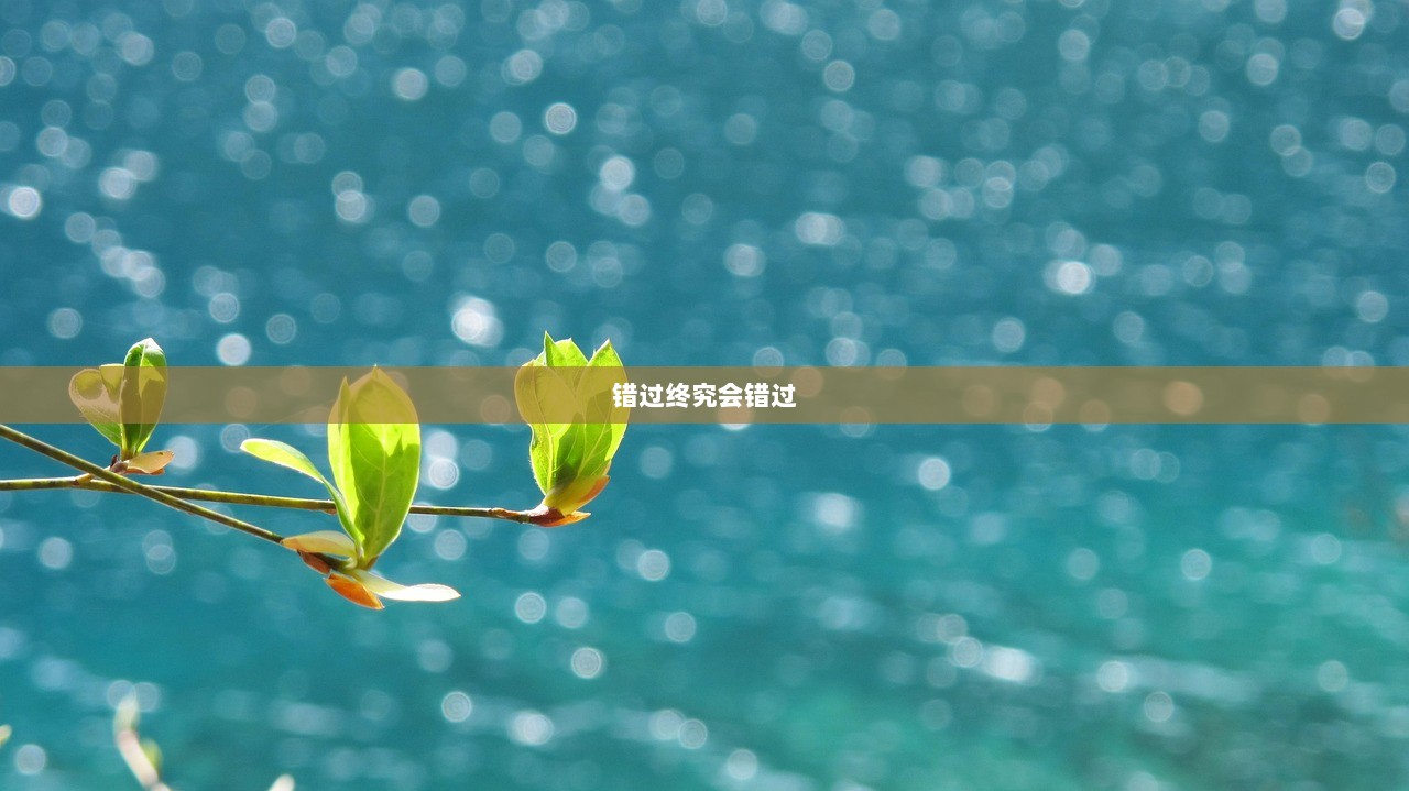 错过终究会错过  第1张