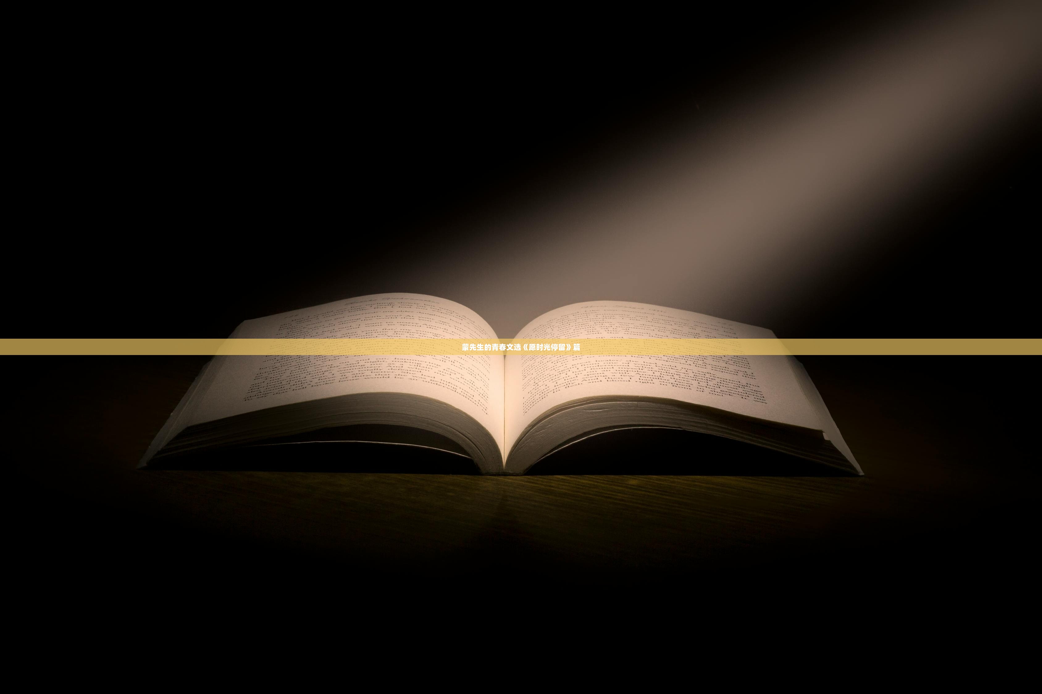 蒙先生的青春文选《愿时光停留》篇