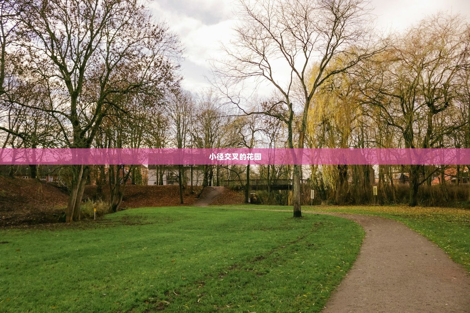 小径交叉的花园