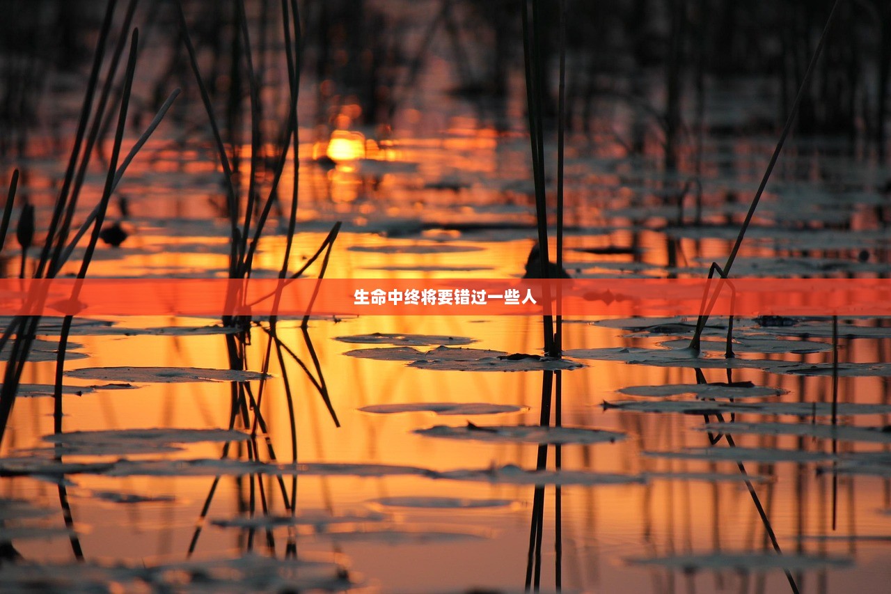 生命中终将要错过一些人