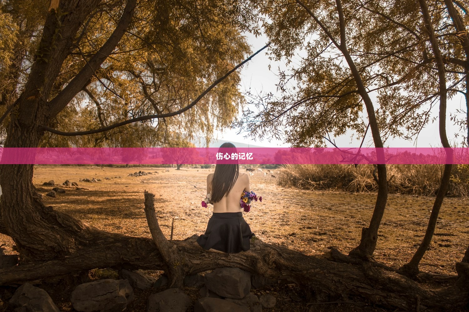 伤心的记忆